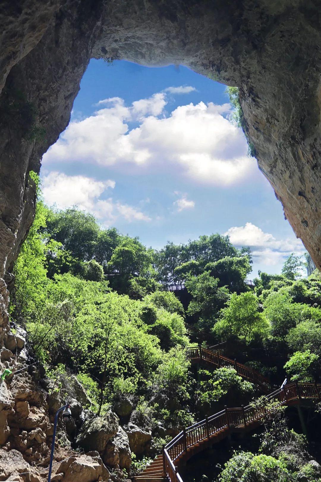 贵州之旅，绿意盎然的旅行日记🍃🏞️